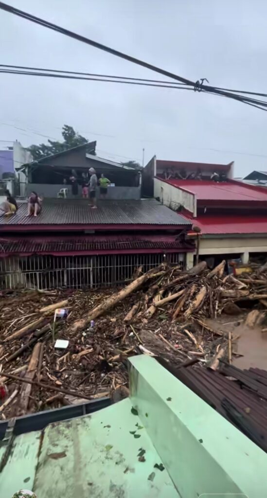 Typhoon Tino's Tragic Impact