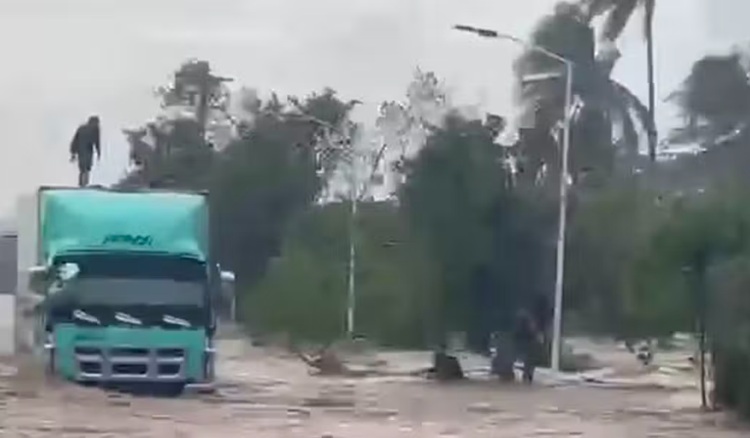 Wing Van