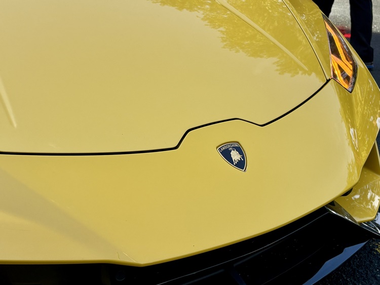 Unregistered Lamborghini