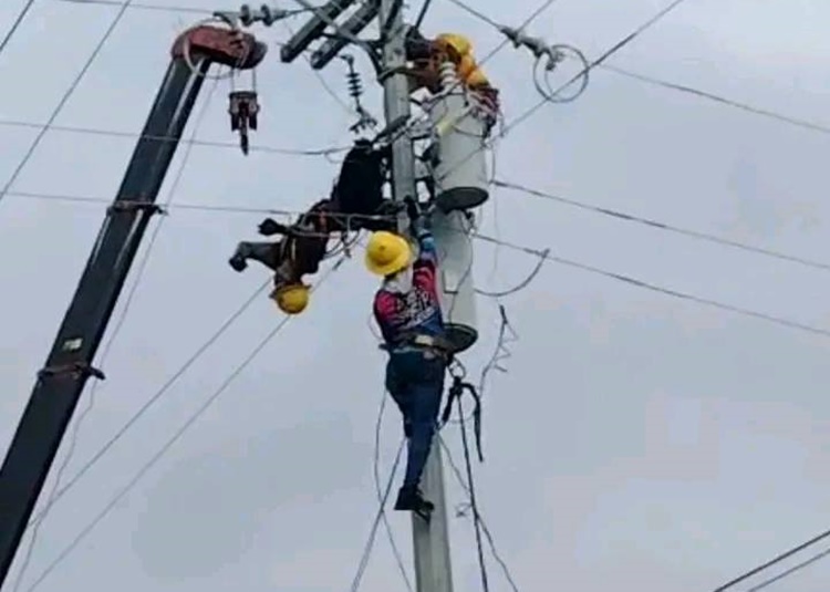 TIELCO Lineman