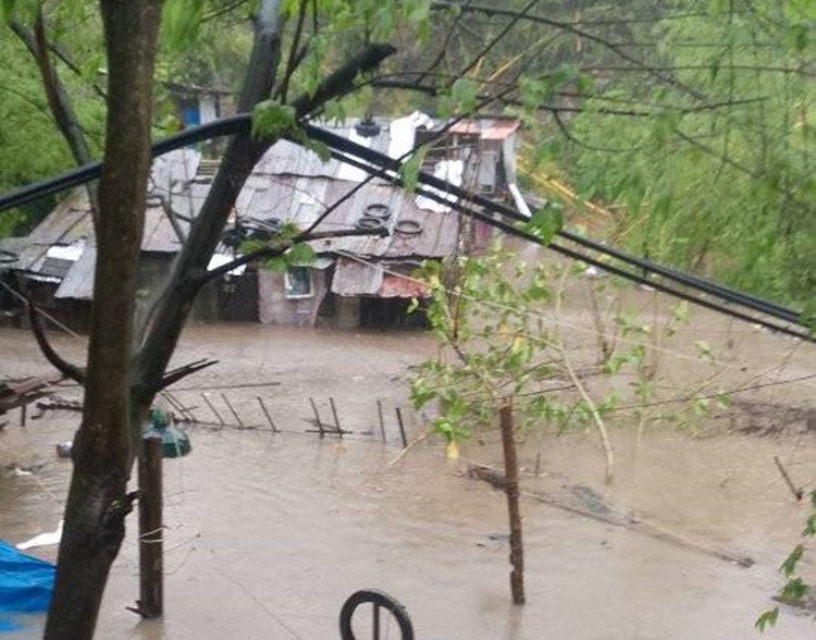 Tropical Depression Verbena