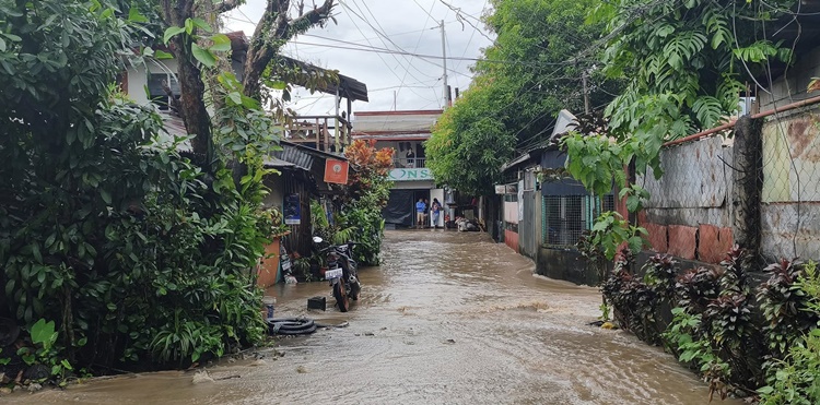 Tropical Depression Verbena
