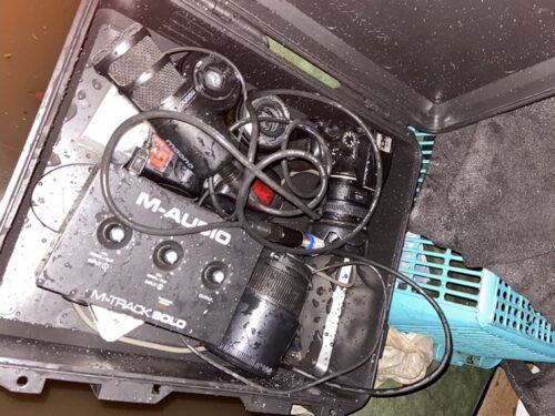 Freelance Photographer