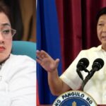 Bongbong Marcos, Sarah Discaya