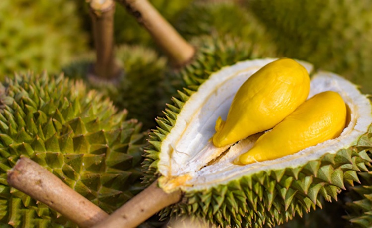 Durian