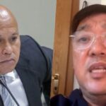 Harry Roque, Bato dela Rosa