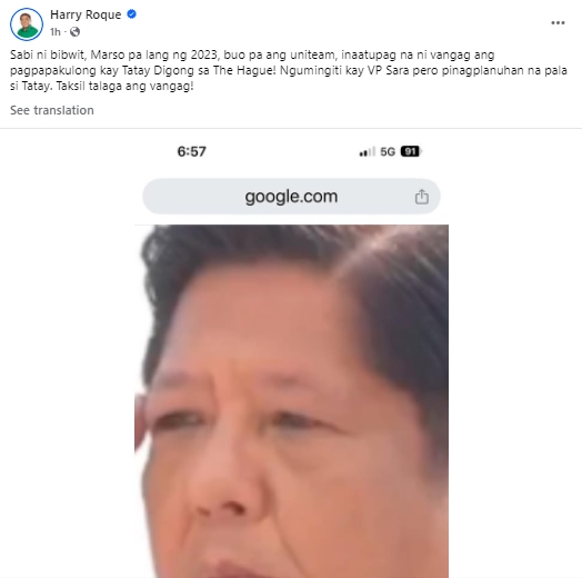 Harry Roque Post