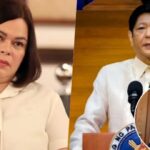Marcos Jr., Sara Duterte, Harry Roque