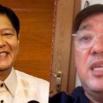 Harry Roque, Bongbong Marcos