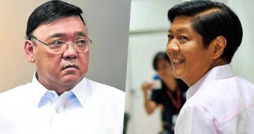 Harry Roque, Bongbong Marcos