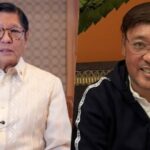 Harry Roque, Bongbong Marcos