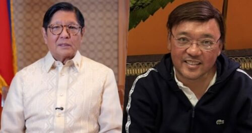 Harry Roque, Bongbong Marcos