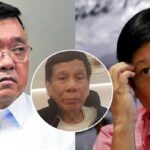 Harry Roque, Bongbong Marcos, Rodrigo Duterte