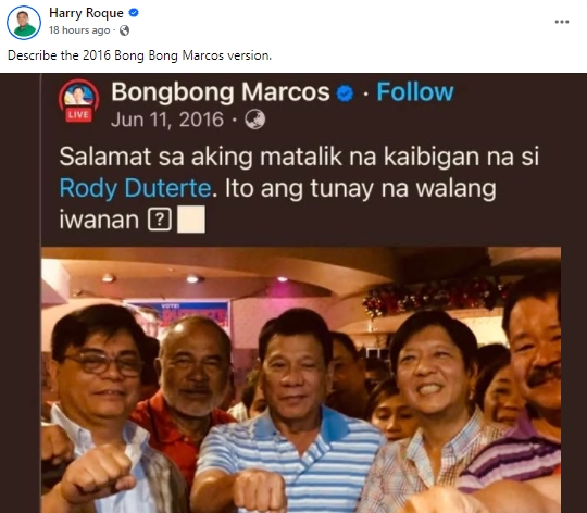 Harry Roque Post