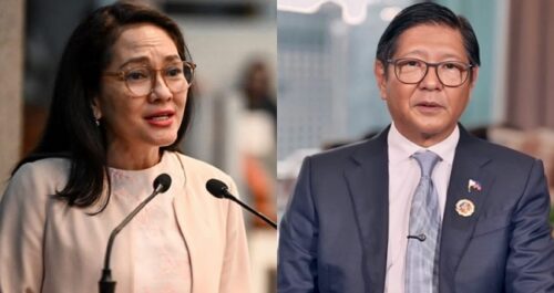 Risa Hontiveros, Bongbong Marcos