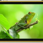 Ulefone RugKing Pad 2 Pro specs