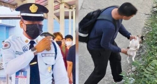 Viral Security Guard