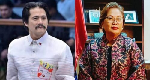 robin padilla rowena guanzon