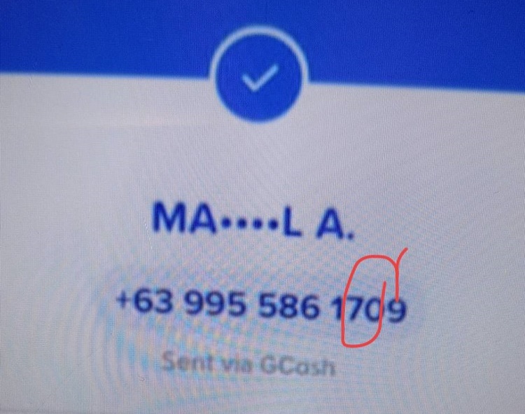 Леди Нетизен