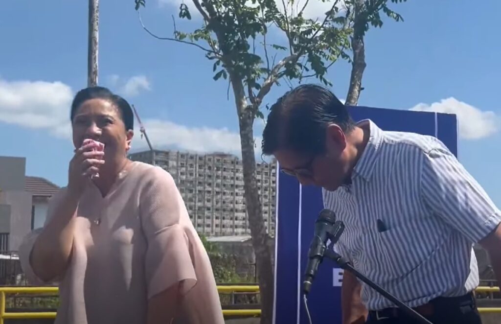 Leni Robredo, Bongbong Marcos