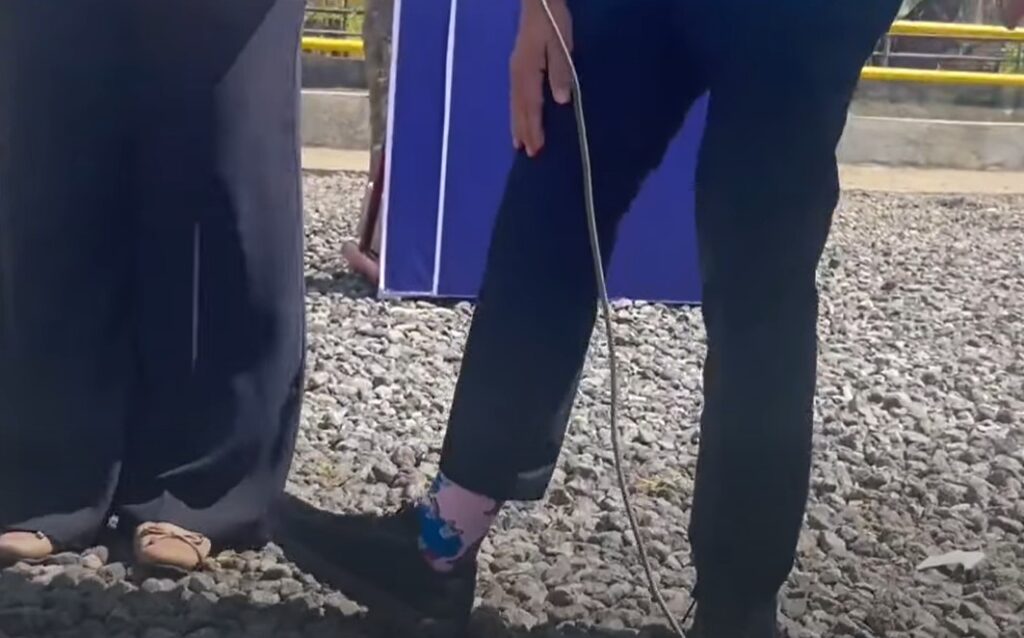 Marcos Pink Socks