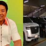 Willie Revillame, Discaya Cars