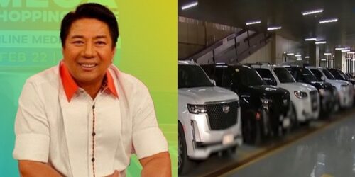 Willie Revillame, Discaya Cars
