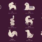 Year Of The Fire Horse