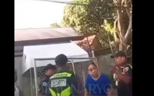 Former Senator Cynthia Villar