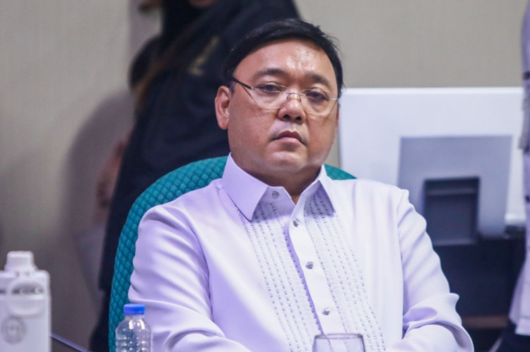 Harry Roque 1