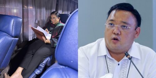 Harry Roque, Leni Robredo