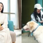 Heart Evangelista, Dogs 1