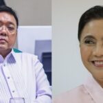 Leni Robredo, Harry Roque