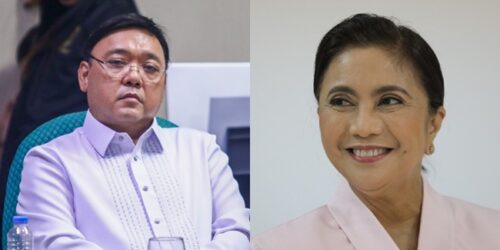 Leni Robredo, Harry Roque