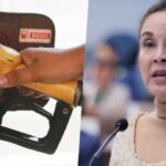 Loren Legarda Oil Price Hike