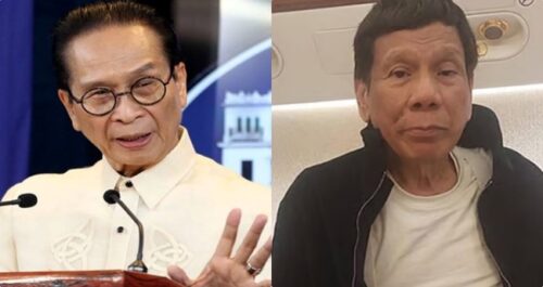 Salvador Panelo, Rodrigo Duterte