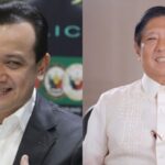 antonio trillanes bongbong marcos