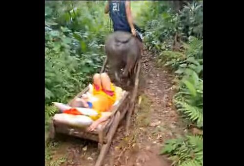 Bedridden Elderly Man