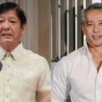bongbong marcos jonvic remulla