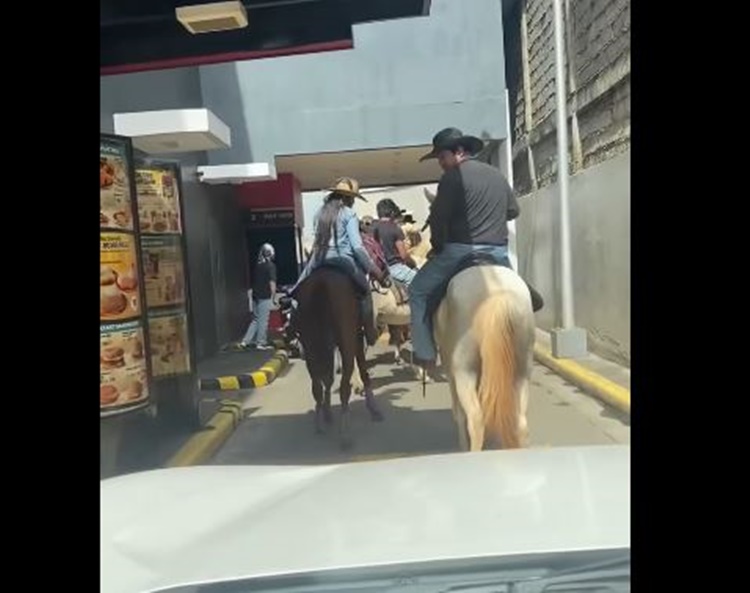 Horseback Riders