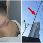 Motorcycle Passenger