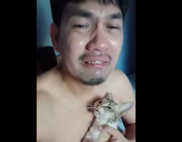 Content Creator