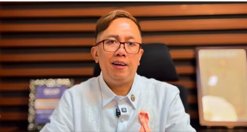 Akbayan Perci Cendaña