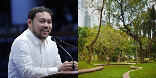 Mark Villar, Philippine Public Park