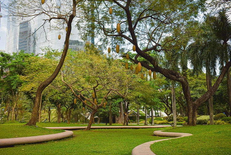 Philippine Public Park