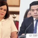 Sara Duterte, House Member Terry Ridon