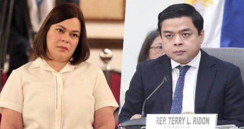 Sara Duterte, House Member Terry Ridon