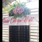 Senior Cetirizen Night