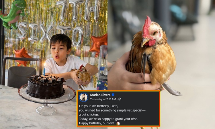 Sixto Dantes, Rooster