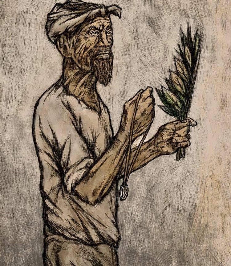 Traditional Healers